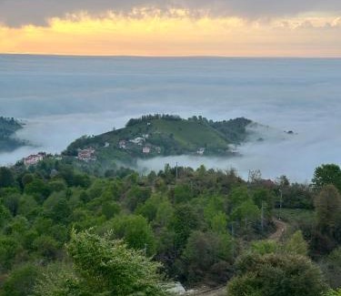 Pazar Hotel | Indra Village Hotel