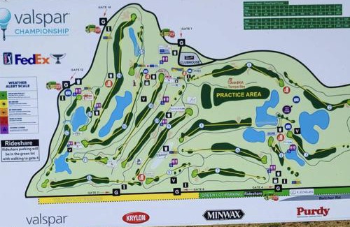Palm Harbor House | Innisbrook Copperhead Course-15th Hole