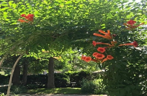 West Washington House | Innisfree Bed & Breakfast