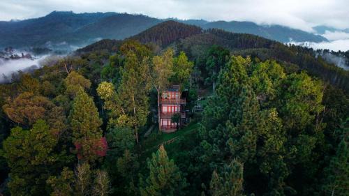Ambagollapathana Hotel | Inspira ella