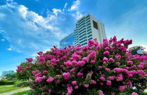 Golden Sands Hotel | INTERNATIONAL Hotel Casino & Tower Suites