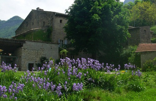 Die House | Into the wild: Charming house, surrounded by nature, large private pool.