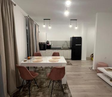 Ploiesti Apartment | Ioanic Modern Apartment with Parking