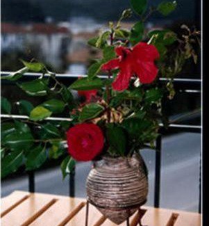 Sivota Apartment | Ionion Hotel
