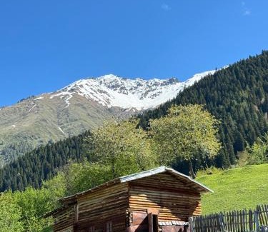 Bagvdanari Cabin | Ipderi cottages