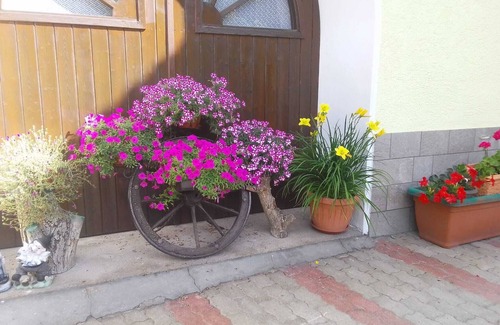 Brez House | IRIS HOLIDAY HOME - RELAXING HOLIDAY IN CONTACT WITH NATURE