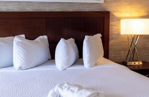 Teaticket Hotel | Iris Hotel Cape Cod