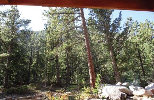 Idaho Springs House | Iron Horse Cabin at Base Camp Lodging Company