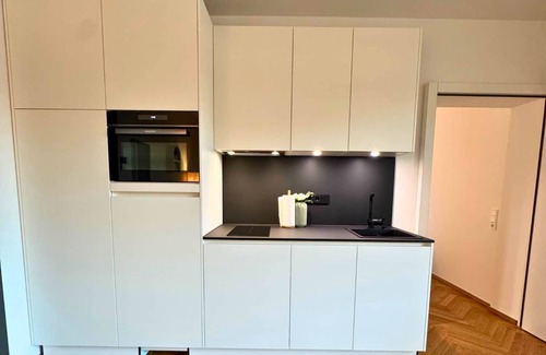 Waldshut-Tiengen Apartment | Isaak Apartment Löwenbau E2-W06