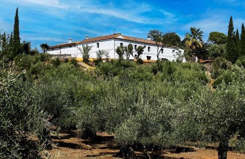 Villaviciosa de Cordoba House | Isla Virgen