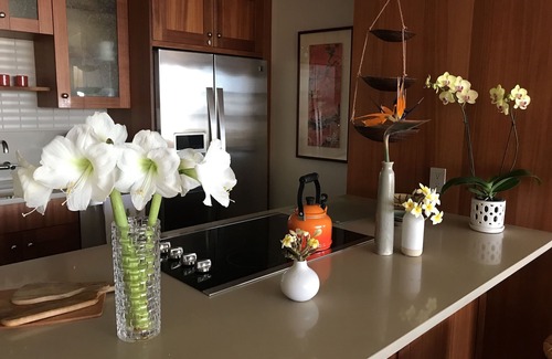 Maalaea Condo | 'Island Casual' Oceanfront 'Elegantly Comfortable'