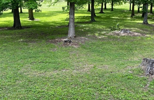 Dickel House | Isolated wooded home safe and quiet. Perfect for getting away from it all!