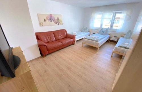Oberteisbach Apartment | IV Apartment 12 Personen - Monteurzimmer - Ferienwohnung - Kronwieden