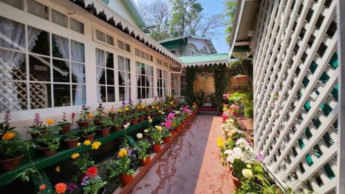 Darjeeling Hotel | Ivanhoe Hotel (A Heritage Property)