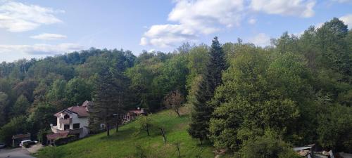 Gabrovo Apartment | Ivka