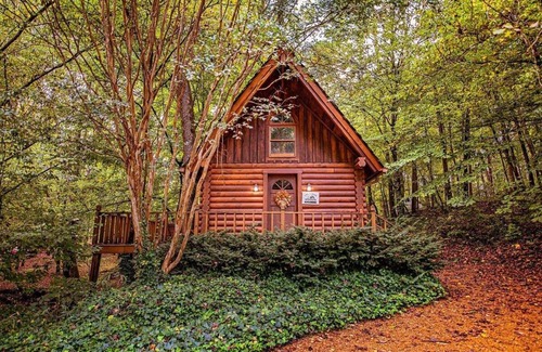 Benton Apartment | Ivy Cottage | Cute Cottage Along The Ocoee River