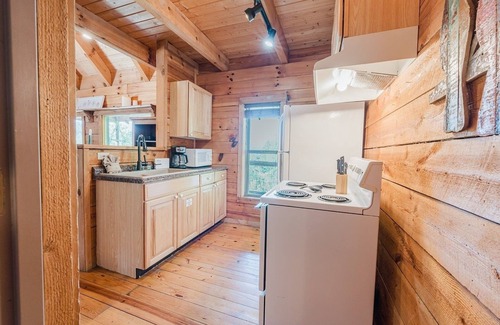 Townsend Cabin | J Willy's Refuge (2-Bedroom Cabin) with Mountain view - Pets Allowed by RedAwning