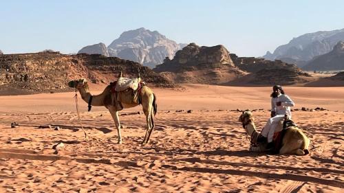 Wadi Rum Bed & Breakfast | Jabal Rum Camp