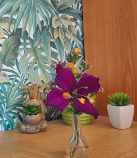 Lohfelden House | Jan's homestay! #Kassel-Lohfelden