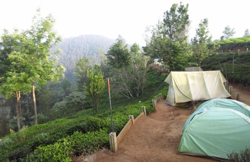 Ithalar Other | Janardan Tea Campsite Ooty