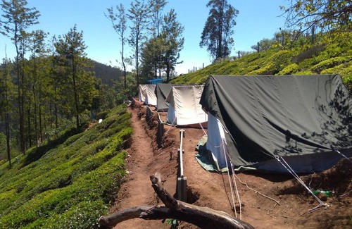 Ithalar Other | Janardan Tea Campsite Ooty