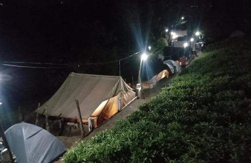 Ithalar Other | Janardan Tea Campsite Ooty