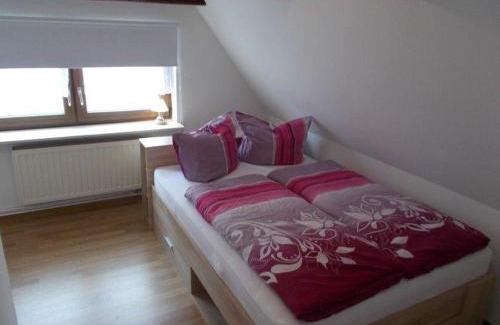 Friedrichsbrunn Apartment | Janos-Ferienwohnung-2