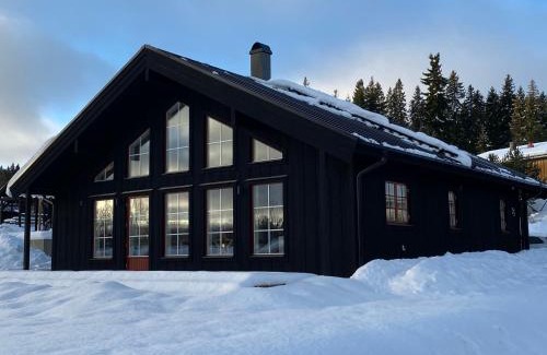 Jarvso Villa | Jarvso House. Ski In/Ski Out.