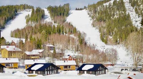 Jarvso Villa | Jarvso House. Ski In/Ski Out.