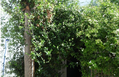 Skiros House | Jasmine House in the heart of Chora of Skyros, can accommodate 3 to 4 people