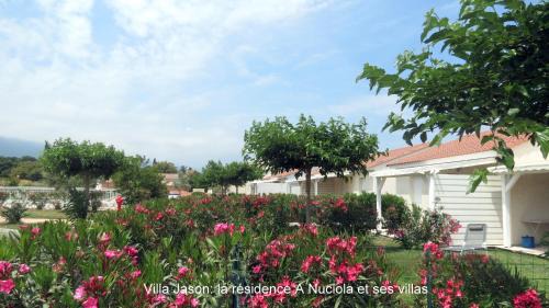 Prunete Villa | Jason