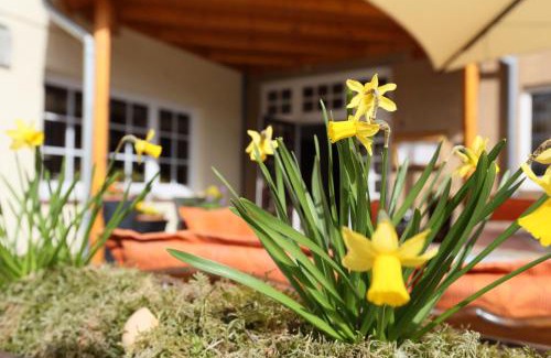 Visselhoevede Hotel | Jeddinger Hof Land- und Seminarhotel