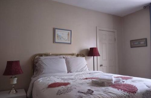 Downtown St. John's House | Jelly Bean 2