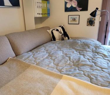 Faaborg Apartment | Johanna's have