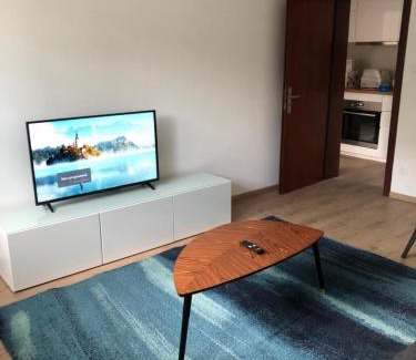 Mittelhausbergen Apartment | Joli appartement dans une maison remise à neuf