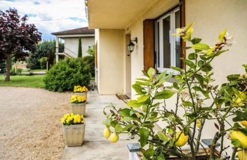 Gaillac Apartment | JOLI APPARTEMENT - PISCINE - 68m2 - GAILLAC