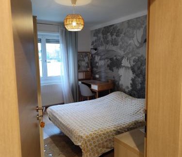 Wintzenheim House | Jolie chambre moderne chez l'habitant
