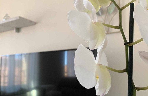 Old Town Apartment | JOSEFINAS Apartment