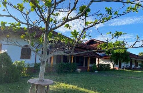 Pasikuda Bed & Breakfast | Joytinat Yoga Ayurveda Villa