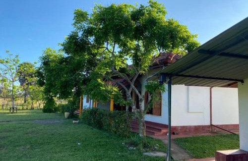 Pasikuda Bed & Breakfast | Joytinat Yoga Ayurveda Villa