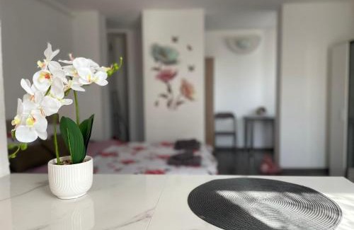 Zalau Apartment | Julia Apartament