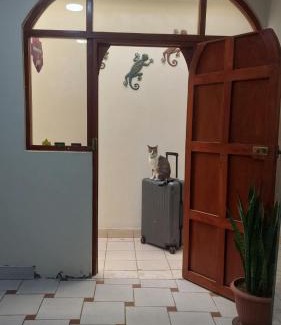 Nazca Hotel | JUMANA