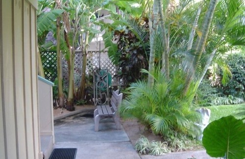 Napili Condo | June & July 15% discount Oceanfront with Spectacular View #101 Napili Bay, Maui