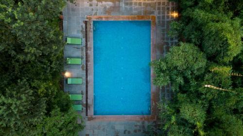 Sawai Madhopur Other | Jungle Cave Resort