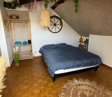 Louviers Apartment | Jungle Cosy