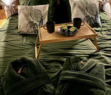 Toulouse South-East Apartment | Jungle Love Room