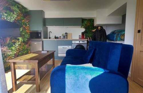 Les Carroz-d'Araches Apartment | Jungle room au centre des Carroz