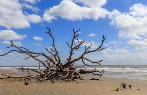 Folly Beach House | Just Beachy
