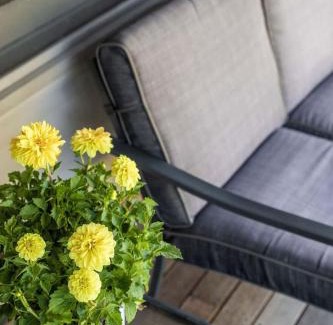 Myrtleford House | Just the Spot