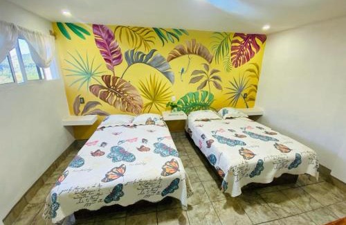 Xilitla Apartment | K&M HOTEL